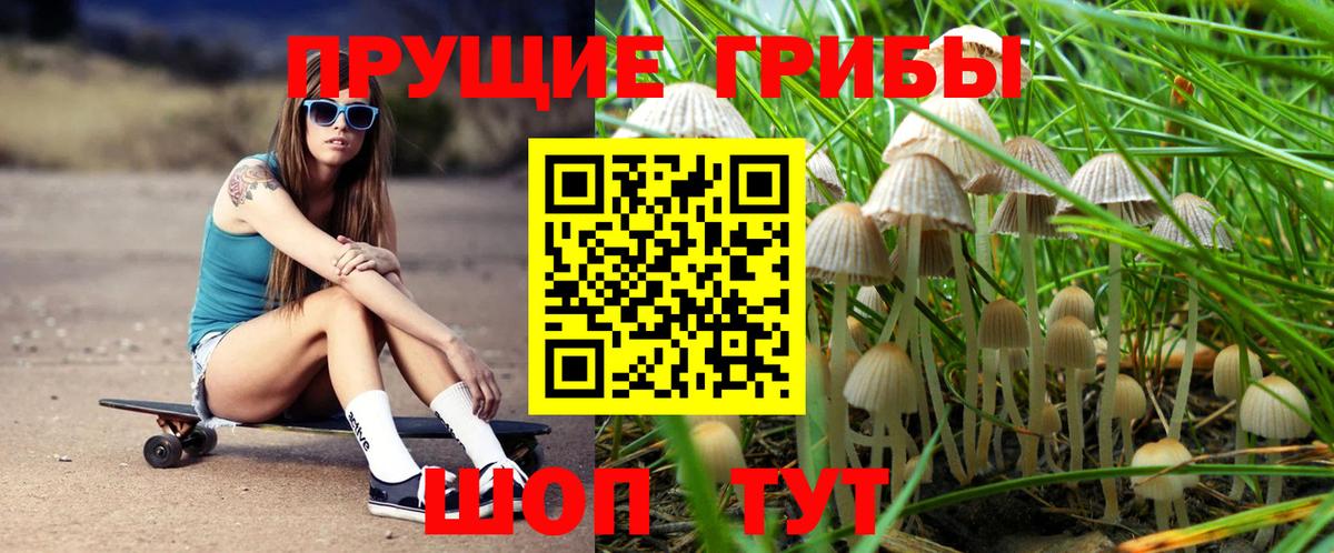 Псилоцибиновые грибы Psilocybine cubensis  Вход с VPN  Псилоцибиновые грибы Cubensis  Саяногорск 