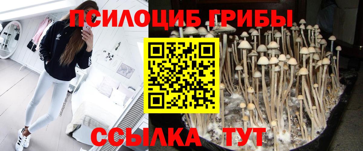 Галлюциногенные грибы мухоморы Саяногорск